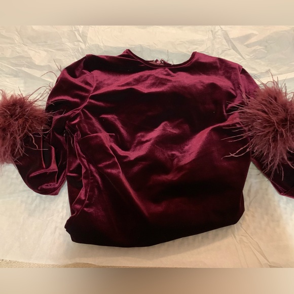 HOUSE OF CB 'Lavinia' Mulberry Velvet Mini Dress - Picture 5 of 8